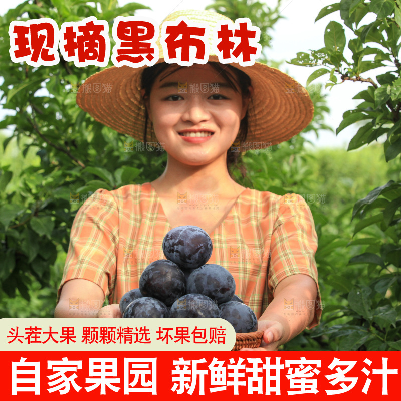 新鲜现摘黑布林