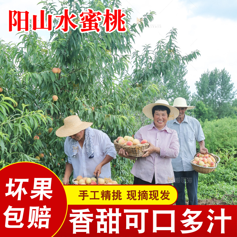 手里拿着现摘水蜜桃