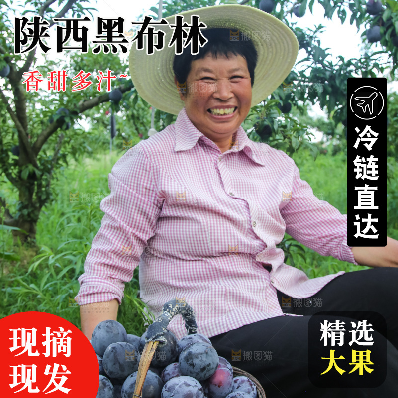 新鲜现摘黑布林