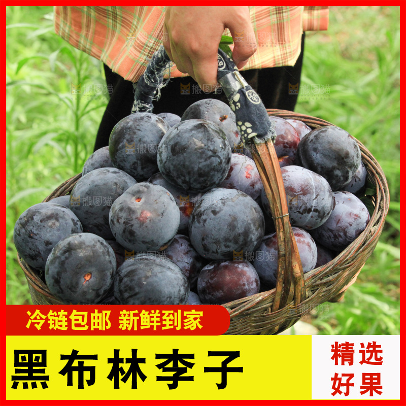 新鲜现摘黑布林