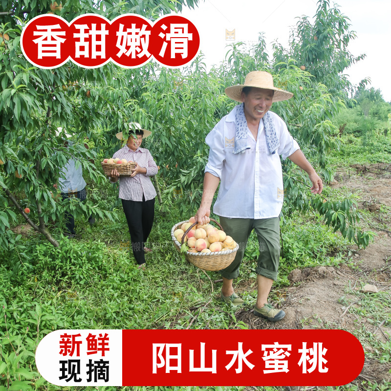 手里拿着现摘水蜜桃