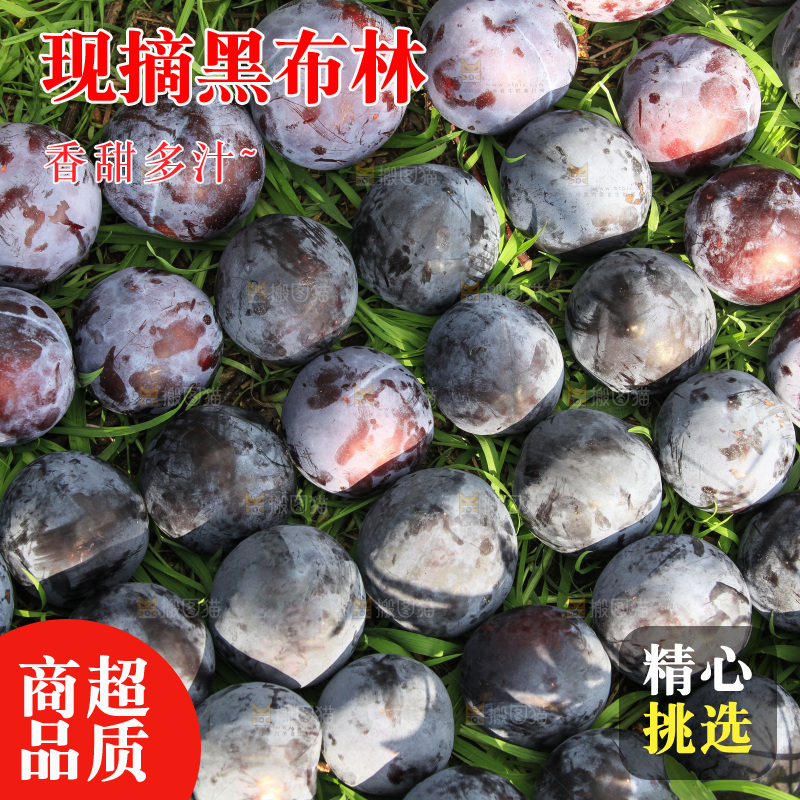 新鲜现摘黑布林