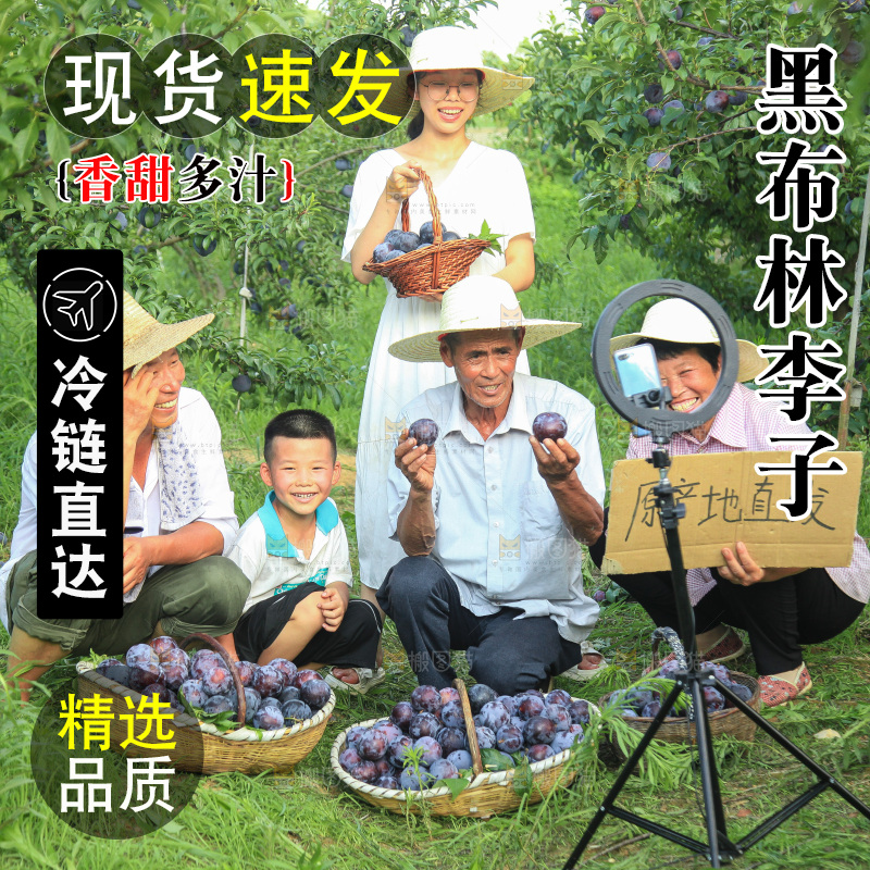 新鲜现摘黑布林