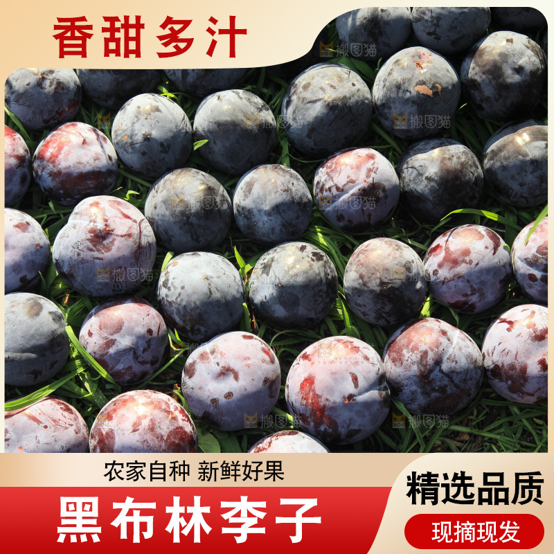 新鲜现摘黑布林