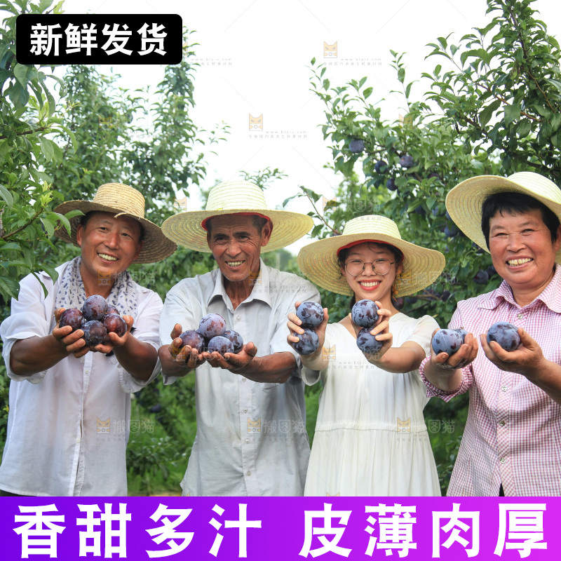 新鲜现摘黑布林