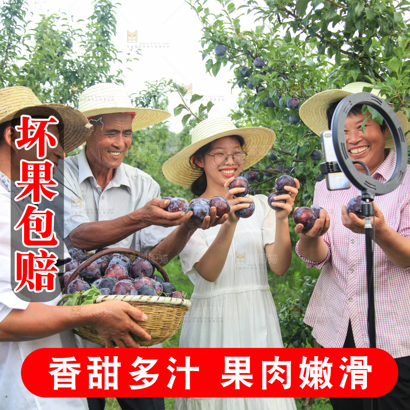 新鲜现摘黑布林