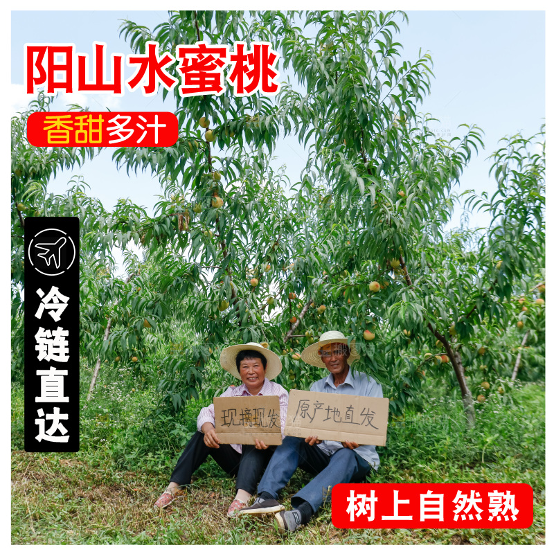 手里拿着现摘水蜜桃