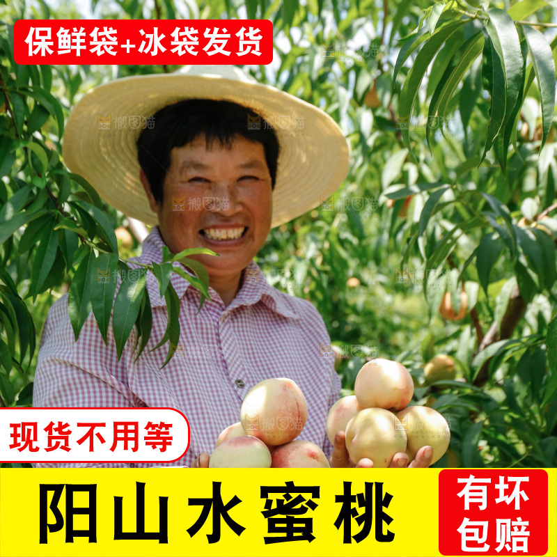手里拿着现摘水蜜桃
