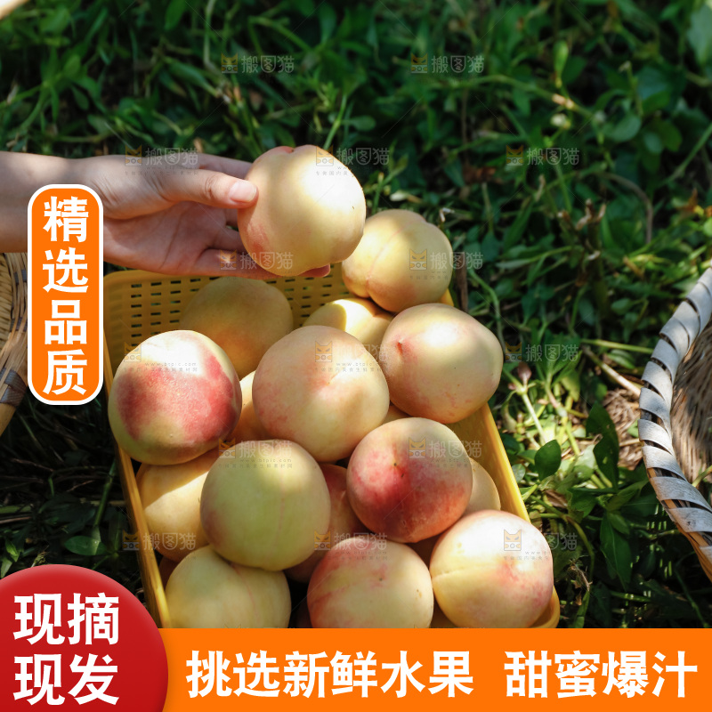 手里拿着现摘水蜜桃
