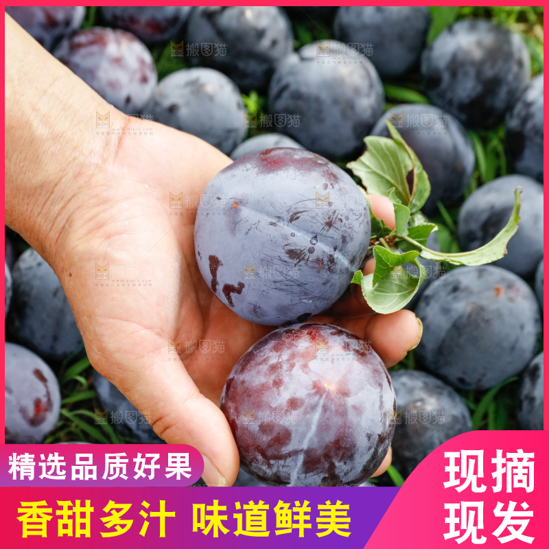 新鲜现摘黑布林