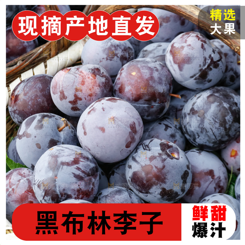 新鲜现摘黑布林