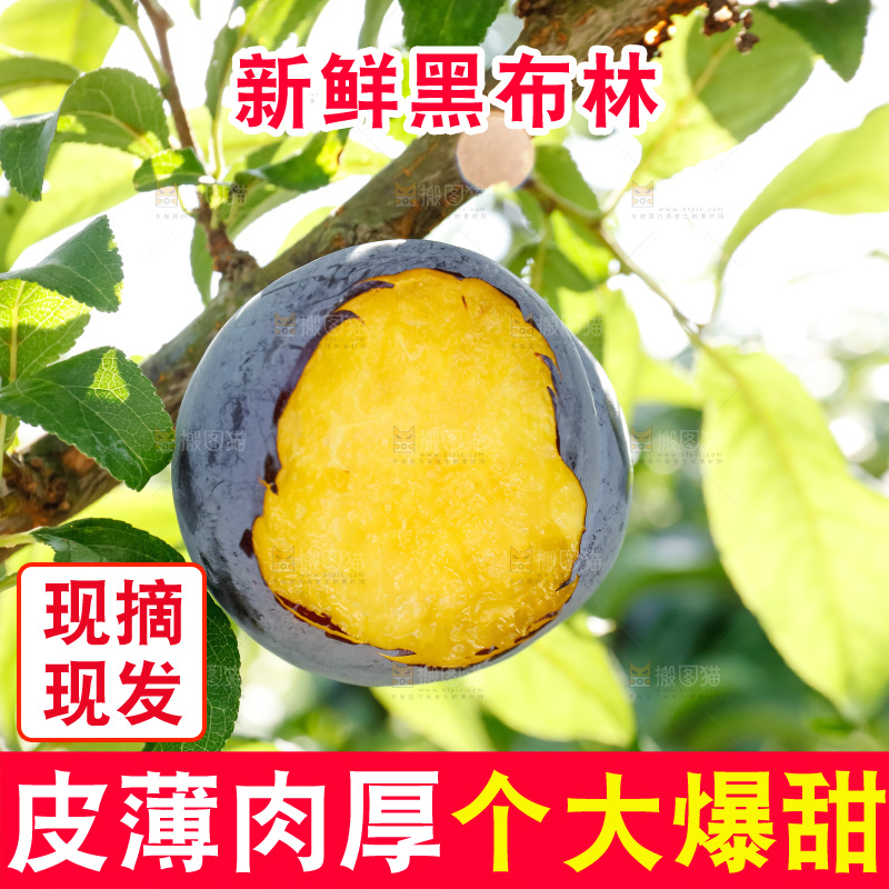 新鲜现摘黑布林