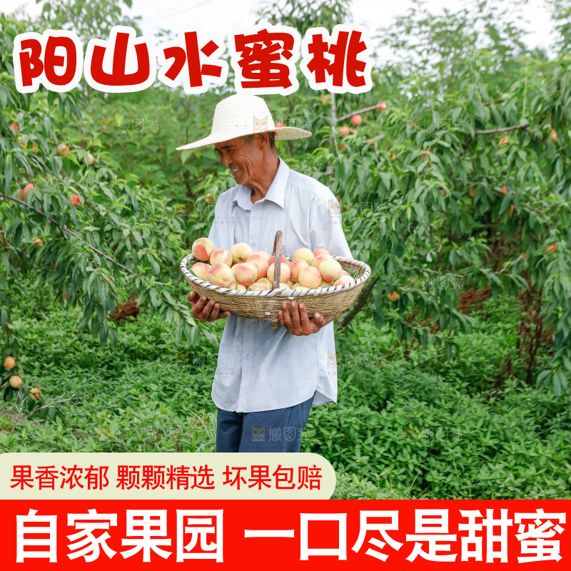 手里拿着现摘水蜜桃
