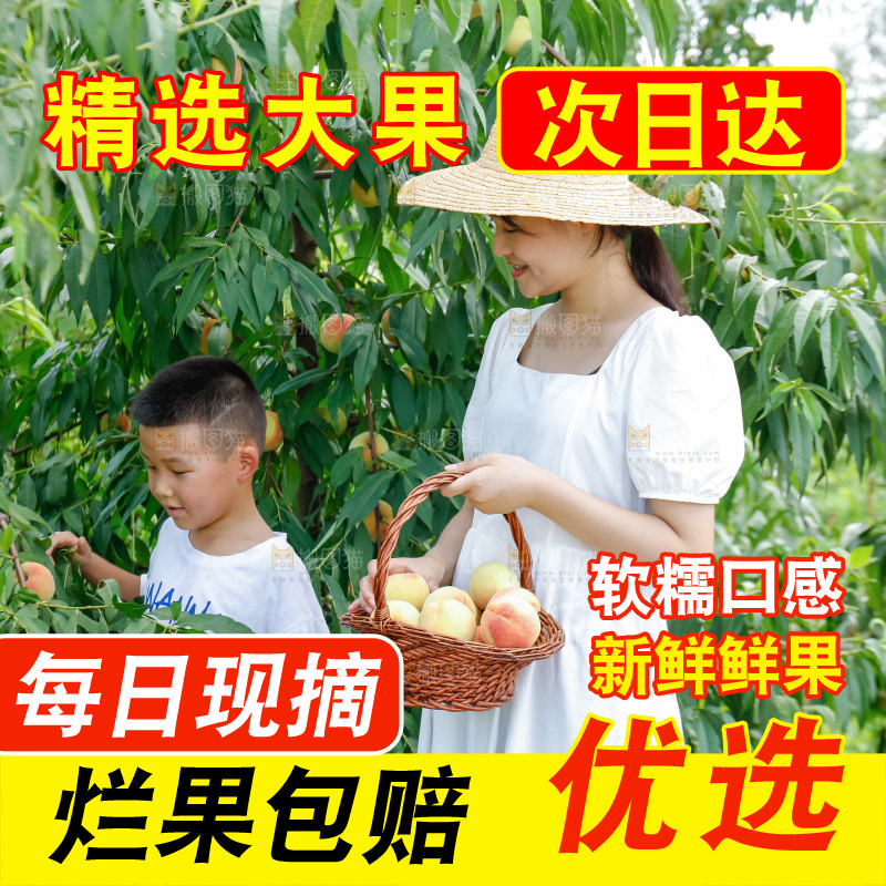 手里拿着现摘水蜜桃