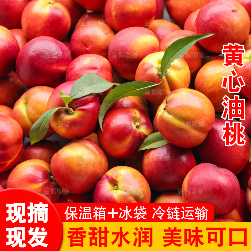 现摘的新鲜黄心油桃