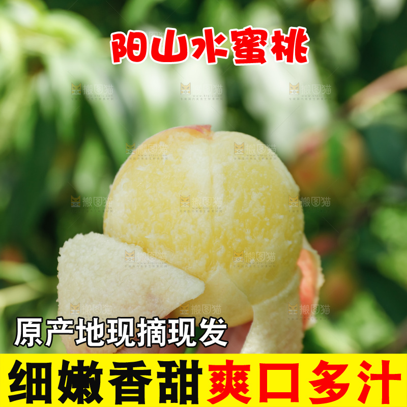 手里拿着现摘水蜜桃