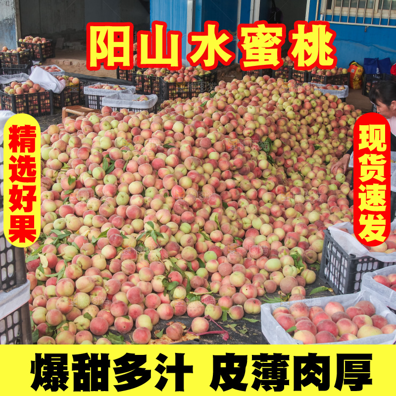 手里拿着现摘水蜜桃