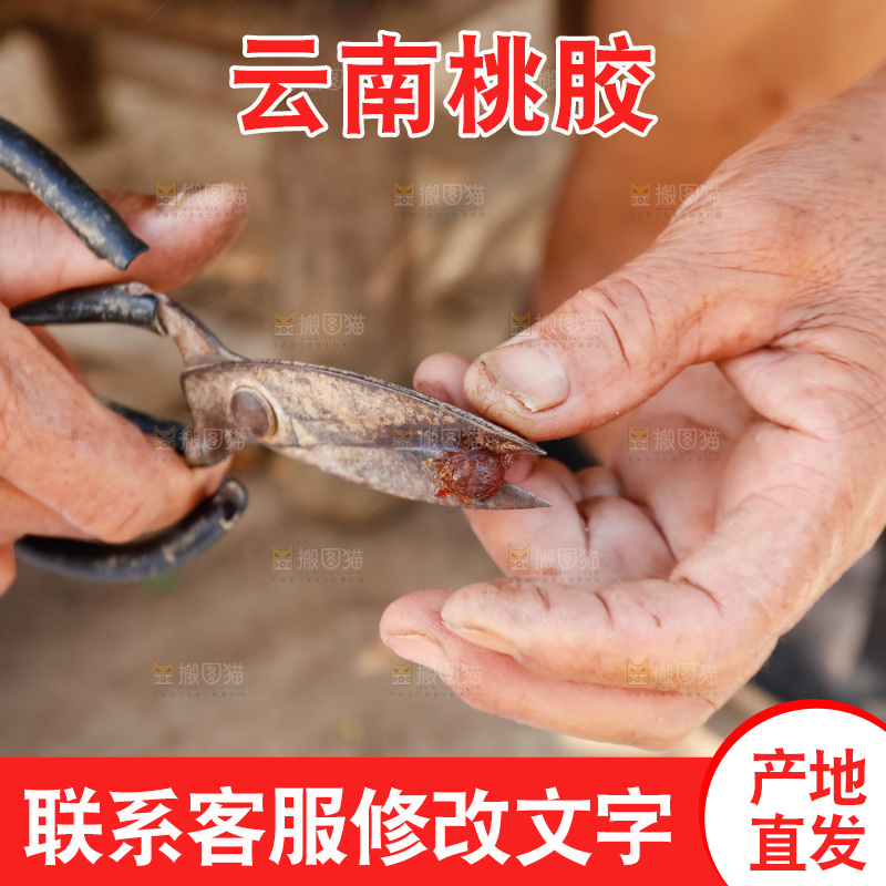堆放着的现摘桃胶