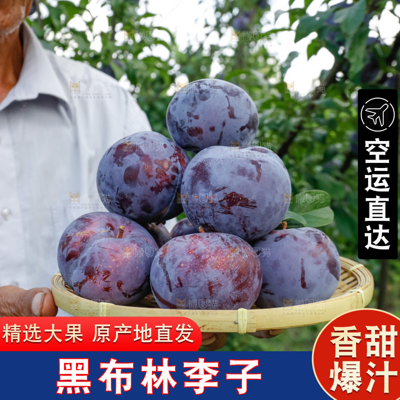 新鲜现摘黑布林