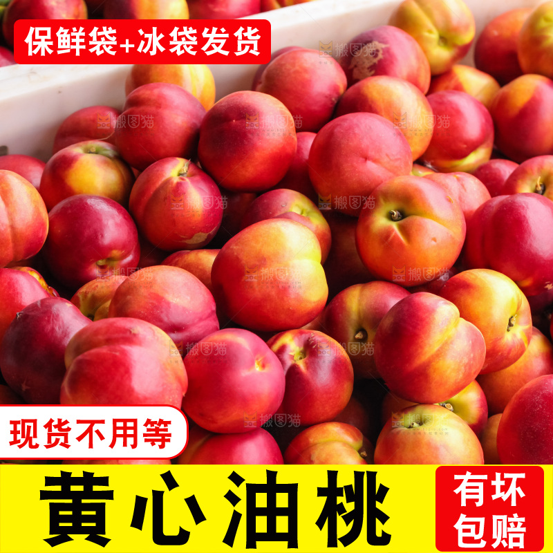 现摘的新鲜黄心油桃