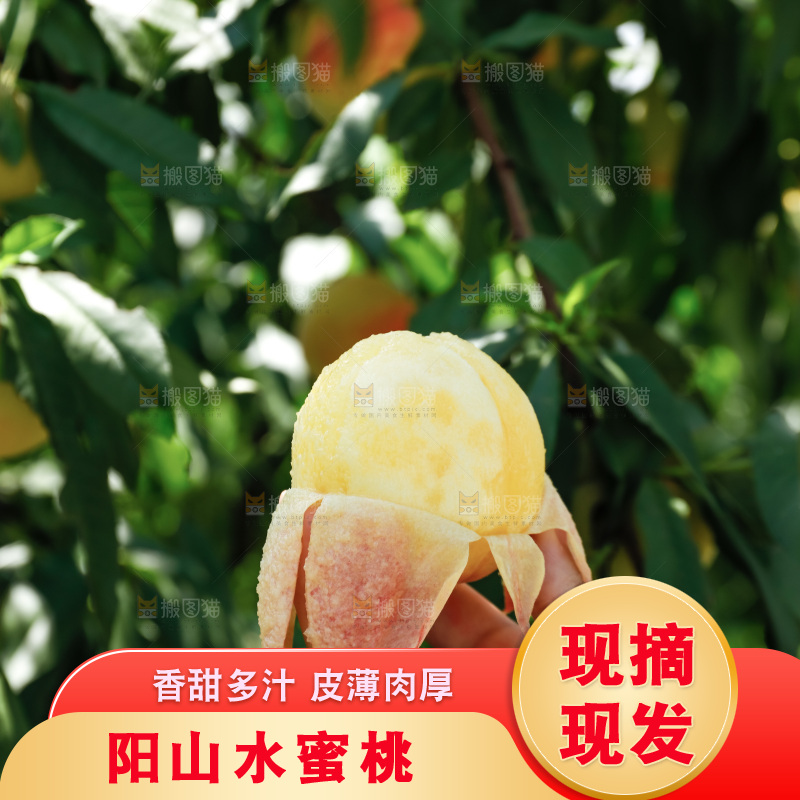 手里拿着现摘水蜜桃