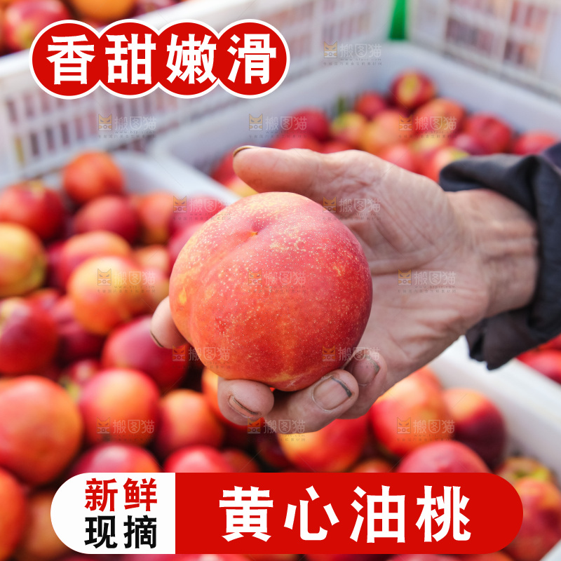 现摘的新鲜黄心油桃