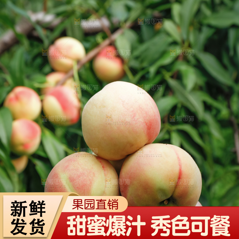 手里拿着现摘水蜜桃