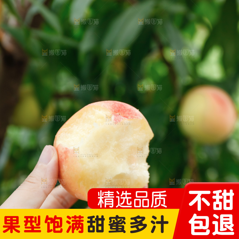 手里拿着现摘水蜜桃