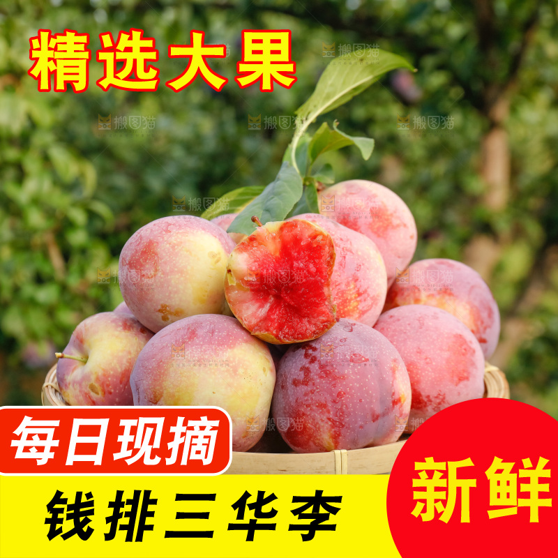 手里拿着红肉三华李