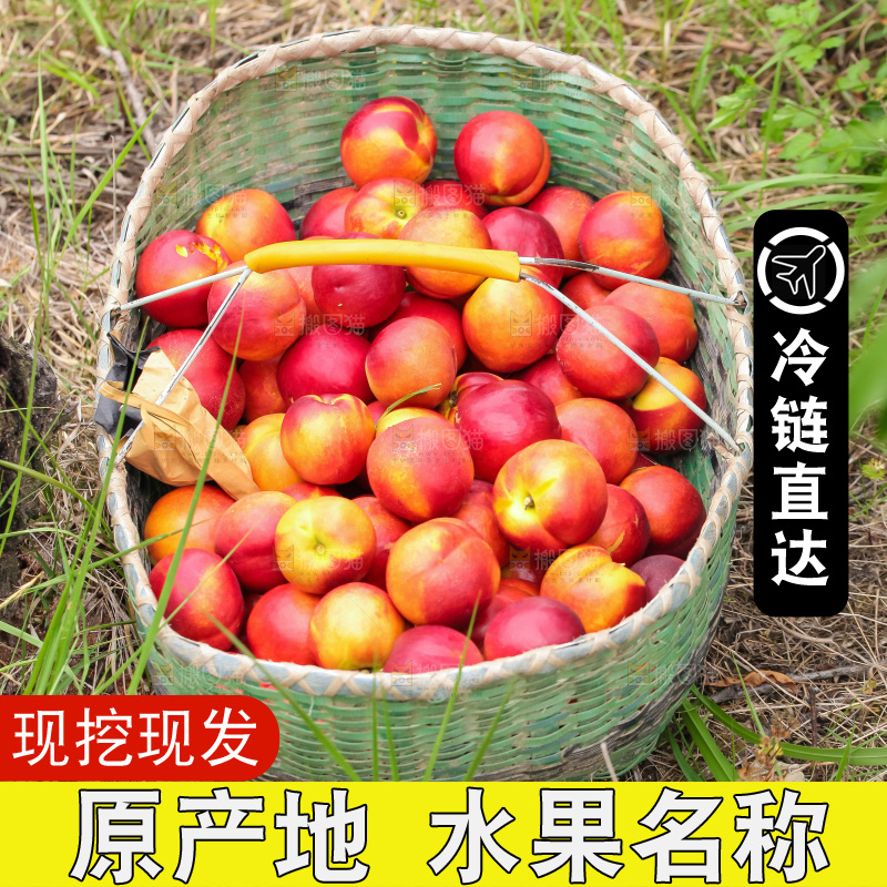 现摘的新鲜黄心油桃