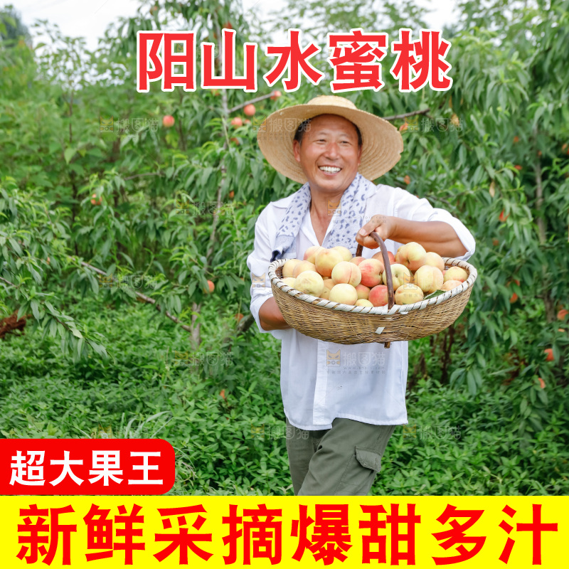 手里拿着现摘水蜜桃