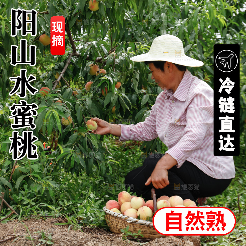 手里拿着现摘水蜜桃