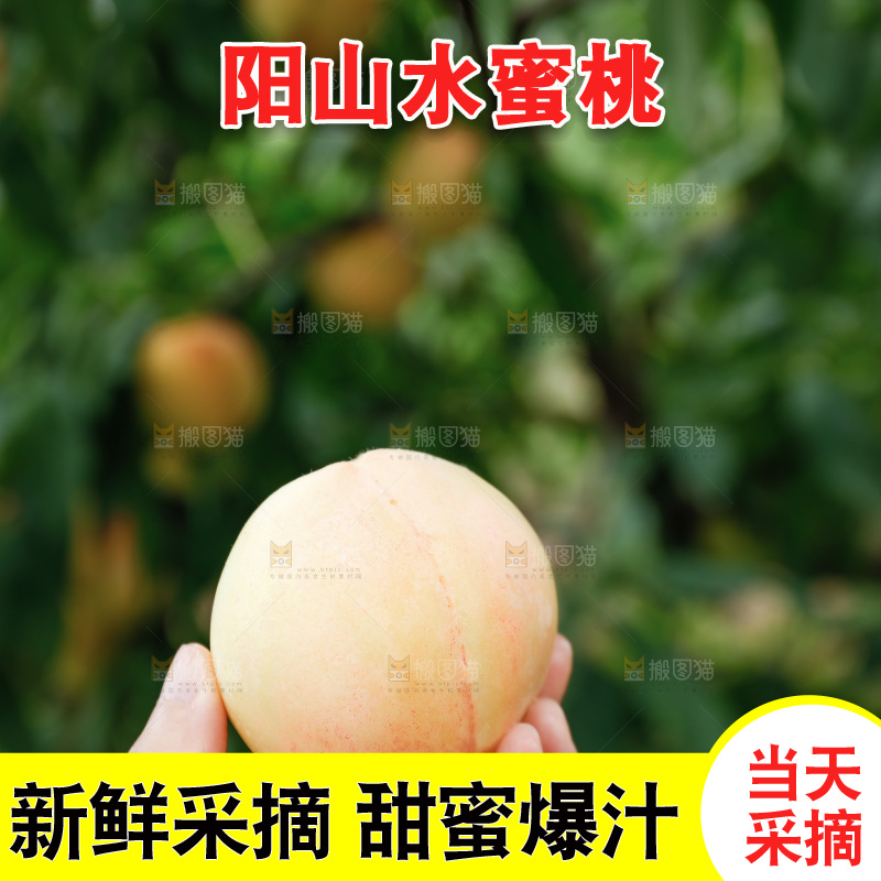 手里拿着现摘水蜜桃