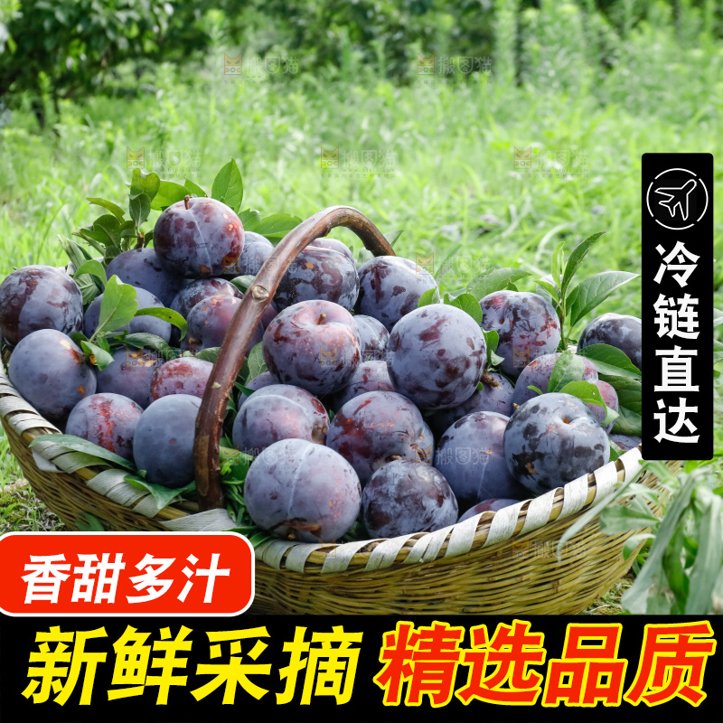 新鲜现摘黑布林