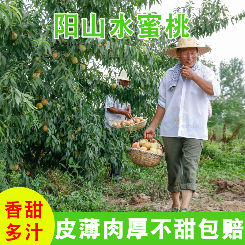 手里拿着现摘水蜜桃