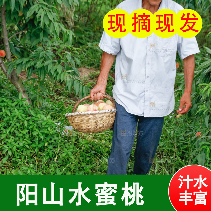 手里拿着现摘水蜜桃