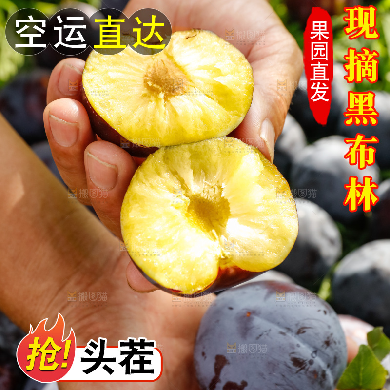 新鲜现摘黑布林