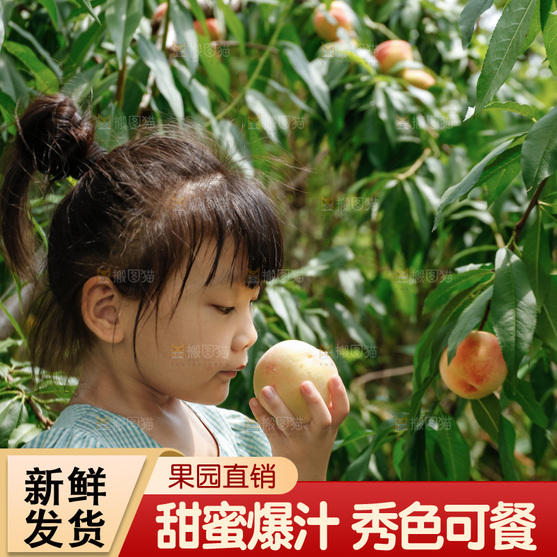 手里拿着现摘水蜜桃