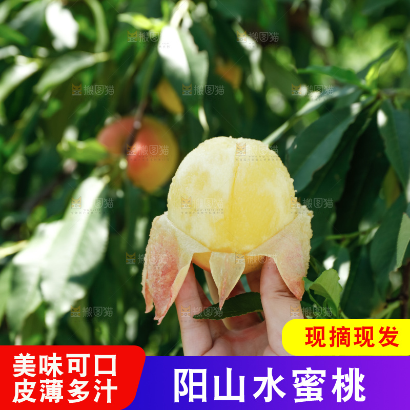 手里拿着现摘水蜜桃