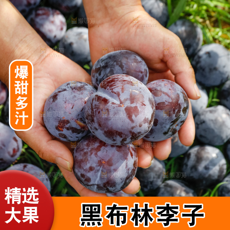 新鲜现摘黑布林