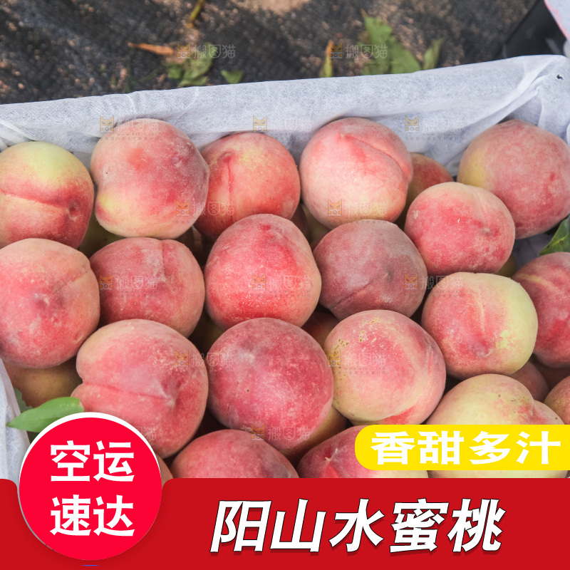 手里拿着现摘水蜜桃