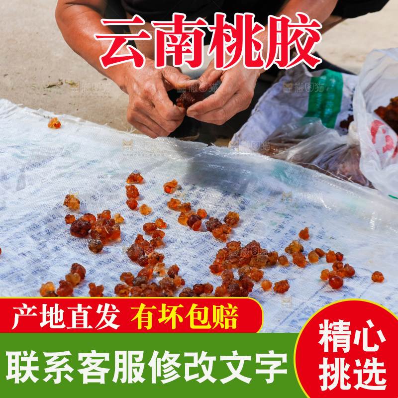 堆放着的现摘桃胶