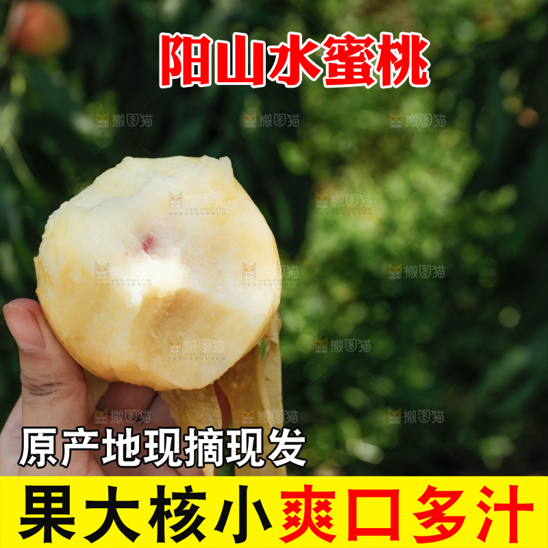 手里拿着现摘水蜜桃
