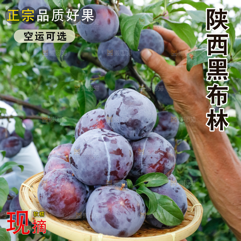 新鲜现摘黑布林