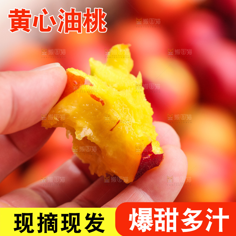 现摘的新鲜黄心油桃