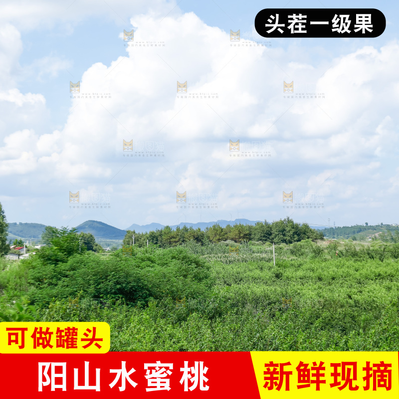 手里拿着现摘水蜜桃