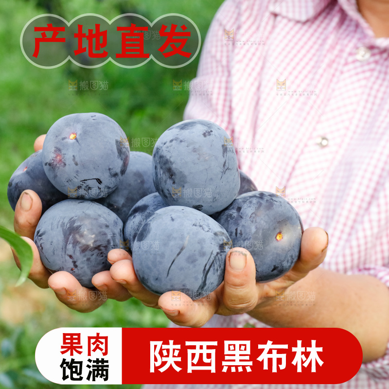 新鲜现摘黑布林