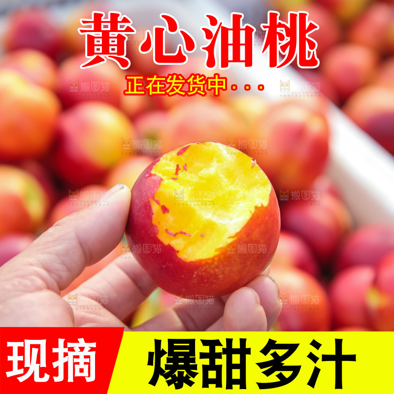 现摘的新鲜黄心油桃