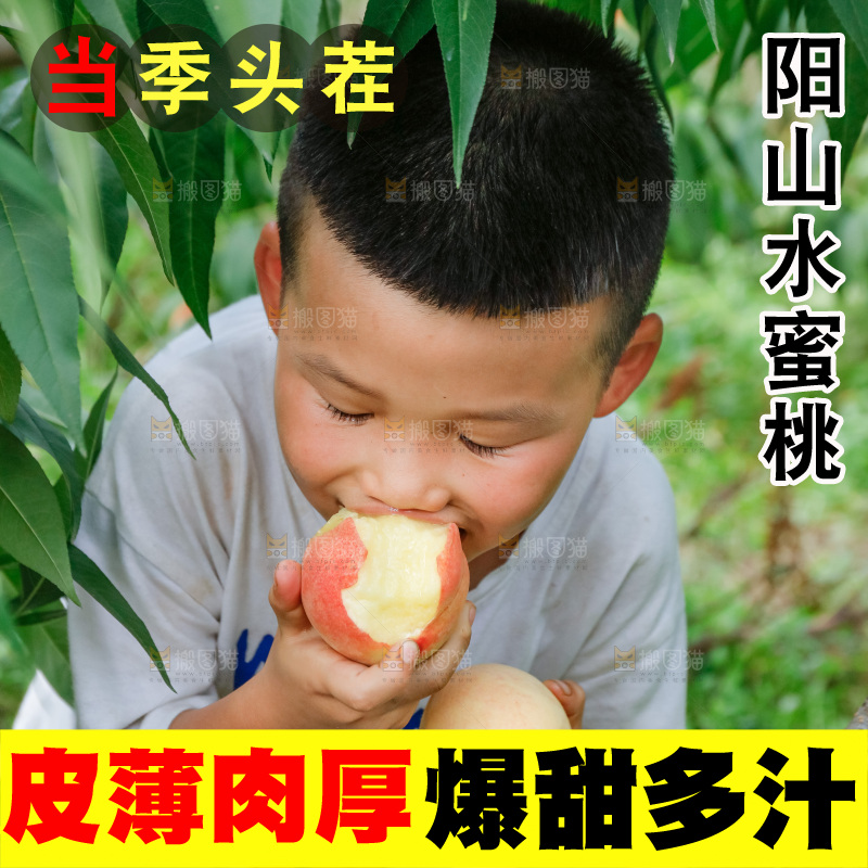 手里拿着现摘水蜜桃