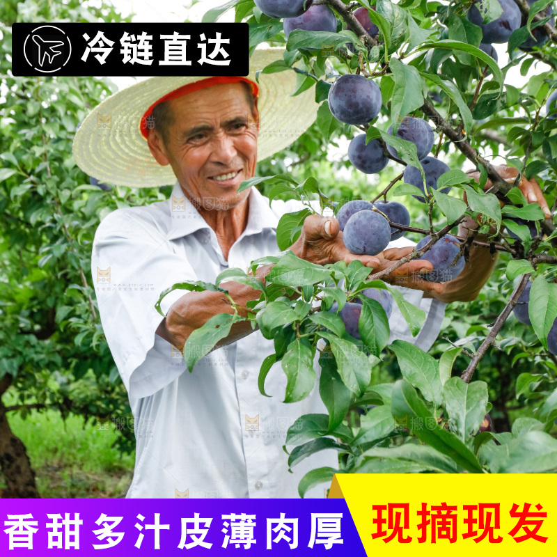 新鲜现摘黑布林